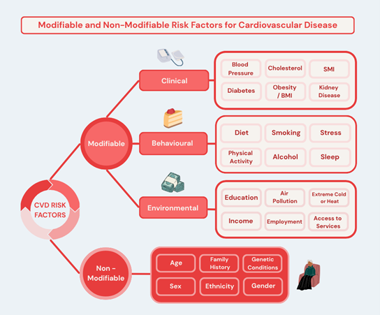 Infographic titled 'Modifiable and Non-Modifiable Risk Factors for Cardiovascular Disease.' It shows cardiovascular disease risk factors divided into modifiable and non-modifiable categories. Modifiable factors include clinical factors—blood pressure, cholesterol, BMI/obesity, diabetes, kidney disease, and SMI; behavioural factors—diet, smoking, stress, physical activity, alcohol, and sleep; and environmental factors—education, air pollution, extreme cold or heat, income, employment, and access to services. Non-modifiable factors include age, family history, genetic conditions, sex, ethnicity, and gender.