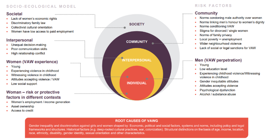 A diagram of the ecological model of violence against women and girls, from the United Nations RESPECT guide and workbook 2020. The model shows the multiple risk and protective factors consolidated from global research for violence at the individual, relationship, community and institutional levels Description automatically generated